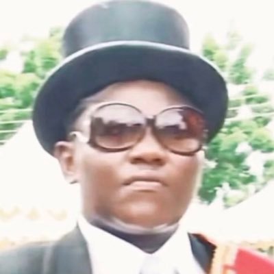 Mr_Walvis's profile picture. Timo#8546