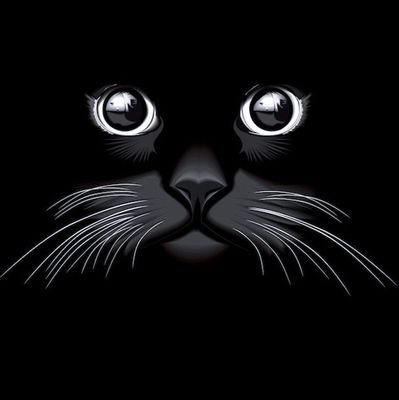 peko99887766's profile picture. 🤓