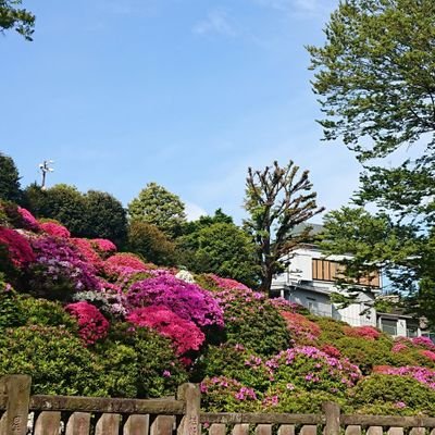 Sanponeko 東日暮里サブロンのサブロンというケーキ みっちりバタークリームがくせになる サブロン 東日暮里 荒川区