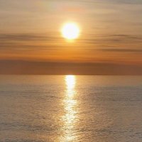 David Vargas (@davidvargasmo) 's Twitter Profile