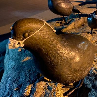 hankli's profile picture. 