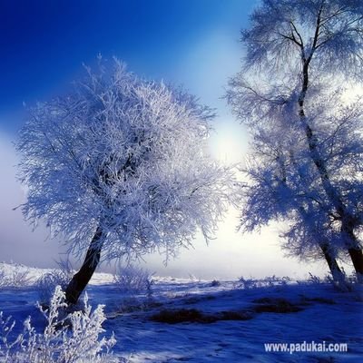 R_S_47's profile picture. 