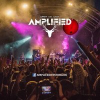 Amplified Festival(@amplified_rocks) 's Twitter Profile Photo