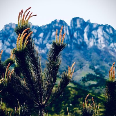 beopenalways's profile picture. 