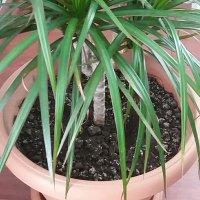 Mustafa Bektas (@mobektas) Twitter profile photo