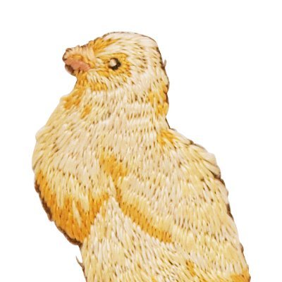 etc_kabu's profile picture. 3911Aiming　6625JALCO 保有！レベルはスライム級。