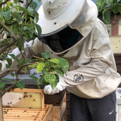 SW16Honey's profile picture. 