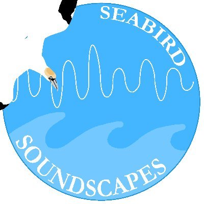 #CitizenScience powered project exploring #seabird #sounds at sea 🌊 🔊 Click on @the_zooniverse link below to take part ⬇️ Created & led by 🤩 @aline_marine