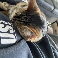 L0uka777 (@coachlulu54) 's Twitter Profile