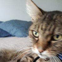 yeah nah (@metcalfeeliza) 's Twitter Profile Photo yeah nah (@metcalfeeliza) 's Twitter Profile Photo