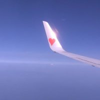 蒼子 (@u_souko2) 's Twitter Profile