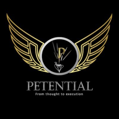 Petential1's profile picture. ​Petential – led by Peter leyland Jr, will help you discover your purpose in life and who effectively takes the ideas you’ve heard on how to heal your mental he