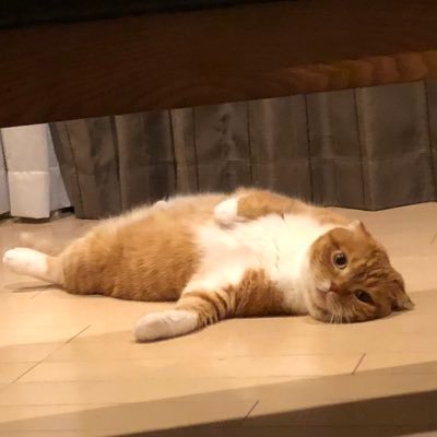 takerun61952716's profile picture. 仕事は産業機械のシーケンスプログラマー！！最近はIO-Linkの通信プログラムに夢中です🤭