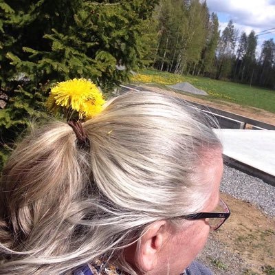 Kontorsakrobat. Pedagogisk vilde. Utvecklingsstrateg.
