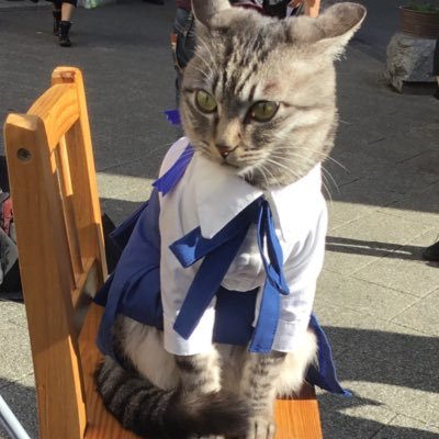 osE78DMuDan64Rd's profile picture. ポケモンGO.ソードシールドガチ勢です🎵 あつ森プレイ中☺️ どちらともフレンド募集しているから 気軽に絡んでね☺️ DMも募集してます❤️交換希望だよ☺️