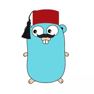 Golang Tunisia est un groupe d'intérêt autour du langage Go et ses applications // We are an interest group revolving around the Go langage  and its application