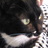 bebcco's profile image