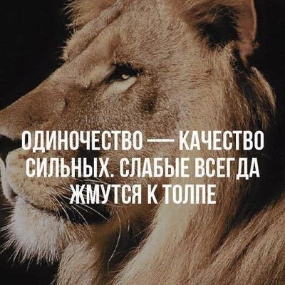UmmMelissa_1's profile picture. — Убивай своим молчанием

 накажи своим отсутствием и торжествуй своей улыбкой

Замужем//обременена всем, что есть в семейной жизни.