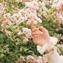 Anne Luong - @QuynhAn80199989 - Twitter