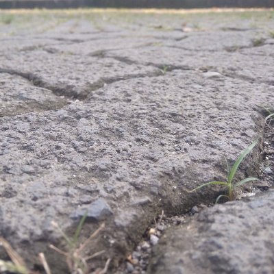 her_agnes's profile picture. senyum
agnesnovytasari20@gmail.com
Ig: agnes_gne
Fb: Agnes Novytasari