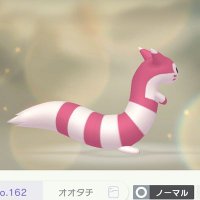 follow back 【相互】 (@__furret__) Twitter profile photo