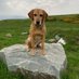 K999Cops-OAPs (@k999copsoaps) Twitter profile photo K999Cops-OAPs (@k999copsoaps) Twitter profile photo