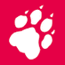 taz (@tazgezwitscher) Twitter profile photo taz (@tazgezwitscher) Twitter profile photo
