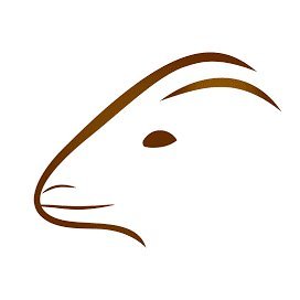 ZamgoatXpress's profile picture. An exclusive goat takeaway outfit, improving lives.