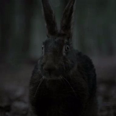 Ren🐰Renさんのプロフィール画像