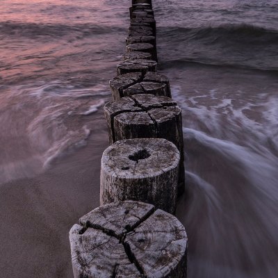 let_country's profile picture. 