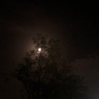 ☁️ (@ronh789) Twitter profile photo
