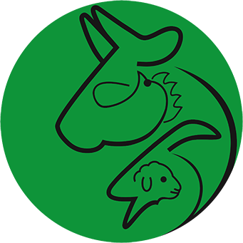 modiredam's profile picture. آموزش‌های نوین و کاربردی در حوزه دام، طیور، آبزیان و حشرات