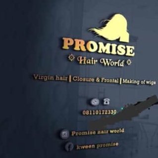 promise hairworld sales of all types of human hair virgin hair human hair blend all available at affordable prices