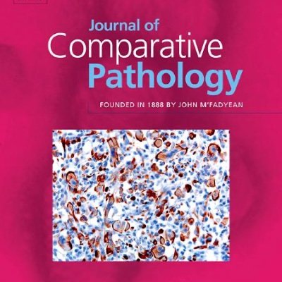 Official Twitter page of the Journal of Comparative Pathology. Retweets are not endorsements.