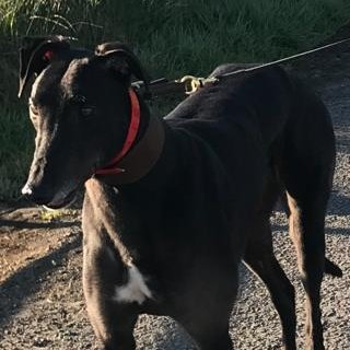 DavidNe15170431's profile picture. I am me