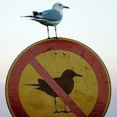 SsszMzhDergisi's profile picture. Yazdıklarım beni bağlamaz.