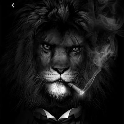 davinia1405's profile picture. universidad  de la calle