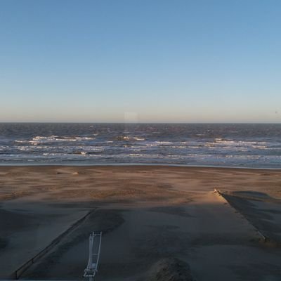 FocquaertRita's profile picture. 