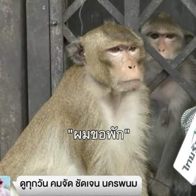 (ถ้าเดมแล้วไม่ได้/ไม่ตอบ เมนชั่นมาได้เลยนะคะ เดมไม่ขึ้นค่ะบางที🙏🥲)