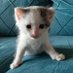 kedilili (@srplbyr34) Twitter profile photo kedilili (@srplbyr34) Twitter profile photo