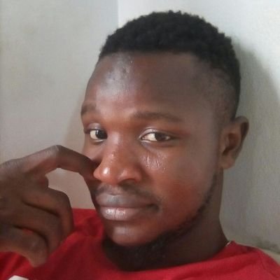 Toheeb17491837's profile picture. very gentle and easy going