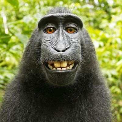 im_nyqo's profile picture. @jvri29