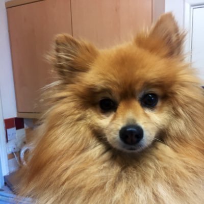 desmond_beni's profile picture. 