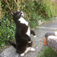 Judith Bowen (@judithbowen) 's Twitter Profile Photo