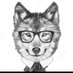 Makul Türk (@makulturk86) Twitter profile photo Makul Türk (@makulturk86) Twitter profile photo