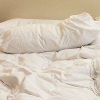 La Casita del Placer (@casadelplacermx) 's Twitter Profile Photo La Casita del Placer (@casadelplacermx) 's Twitter Profile Photo