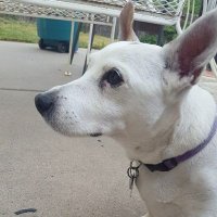 Todd Carter (@tcarterfoconoco) 's Twitter Profile