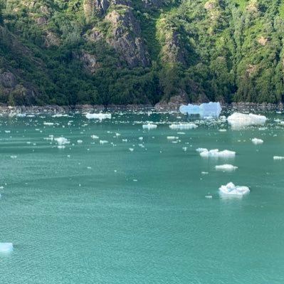 MJ02771701's profile picture. 