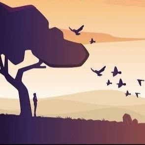 DariHat65061067's profile picture. Sui onboarding wizard 🧙 | Guiding newbies to L1 | Web3 for all