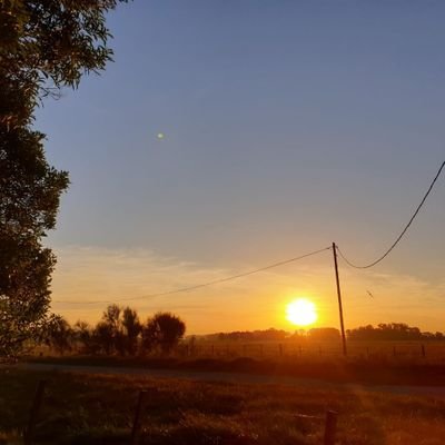 Disfruto de la vida en familia, lanaturaleza, la lectura, las caminatas y las cosas sencillas,